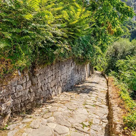 Seventy Steps *